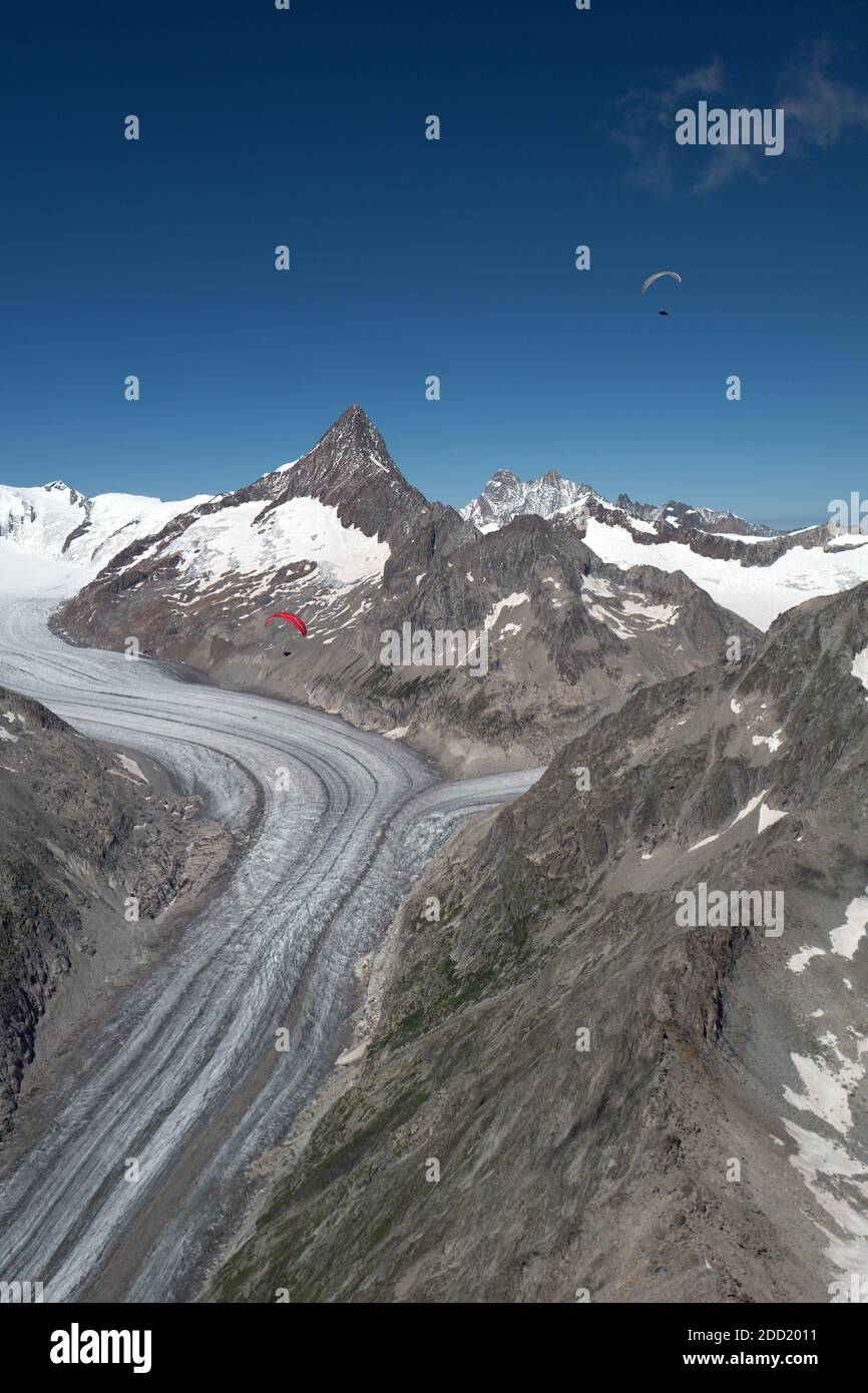 Two paragliding pilots flying above the Fiesch Glacier with the Finsteraarrothorn in the background. Switzerland. Stock Photo