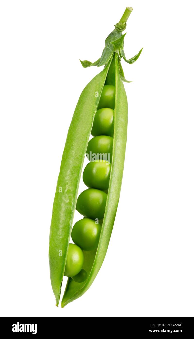 peas in a pod isolated on a white background. Stock Photo