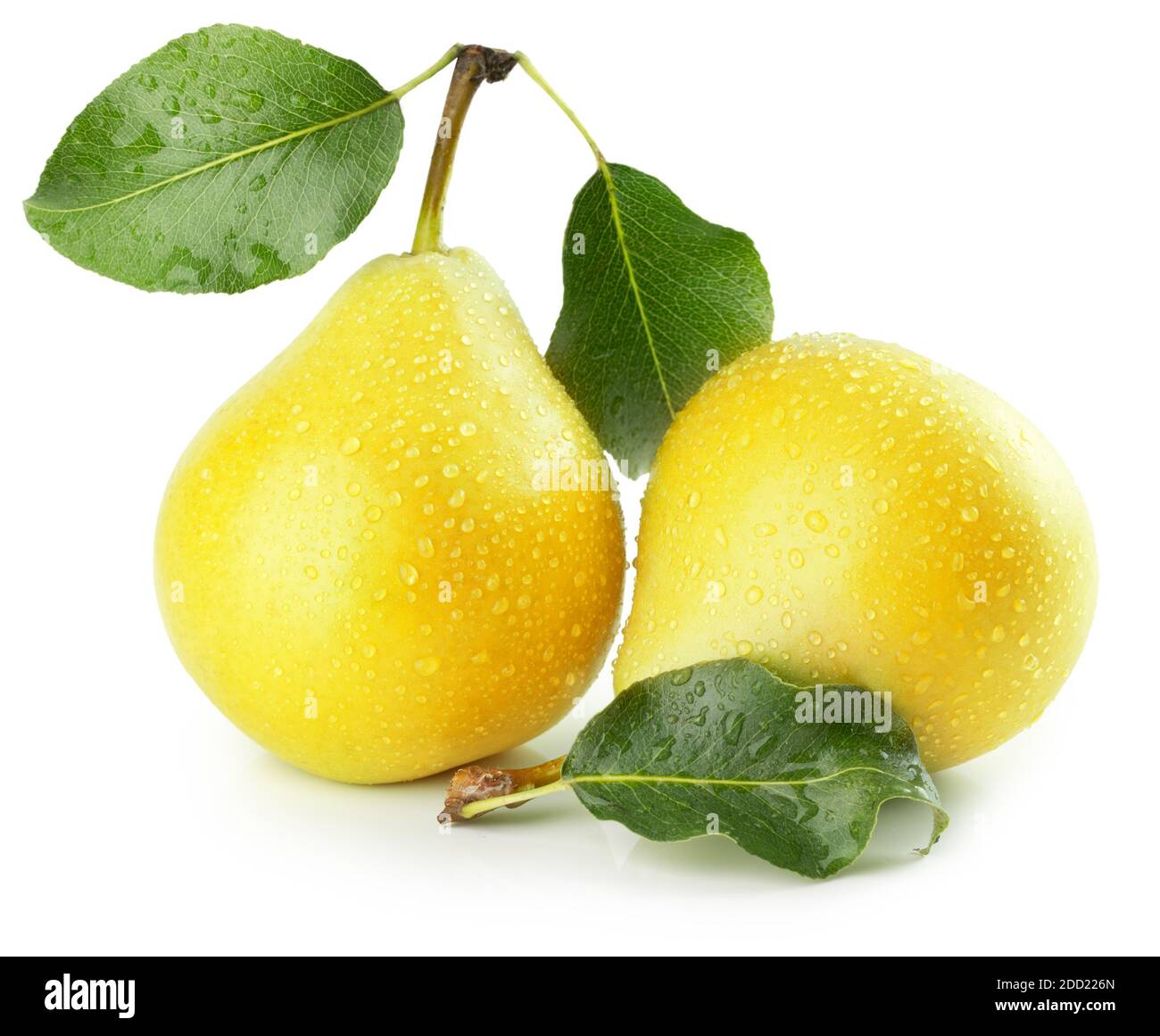 yellow pears with leaves isolated on a white background Stock Photo - Alamy