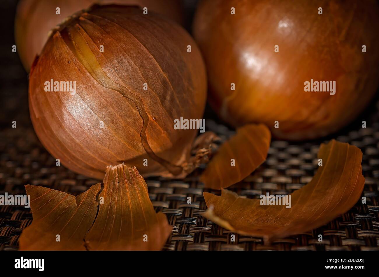 Three yellow onions are pictured unpeeled. Yellow onions are a variety of onion with a whitish, yellow inside and yellow, brown or reddish skin. Stock Photo