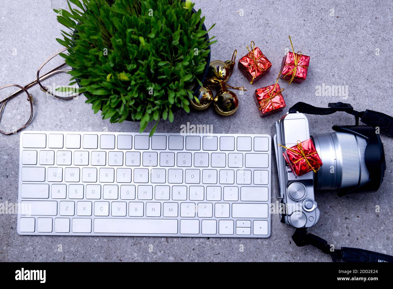 Close up view of millet grass plant in the pot with Christmas decoration, camera, and the keyboard on the desk Stock Photo