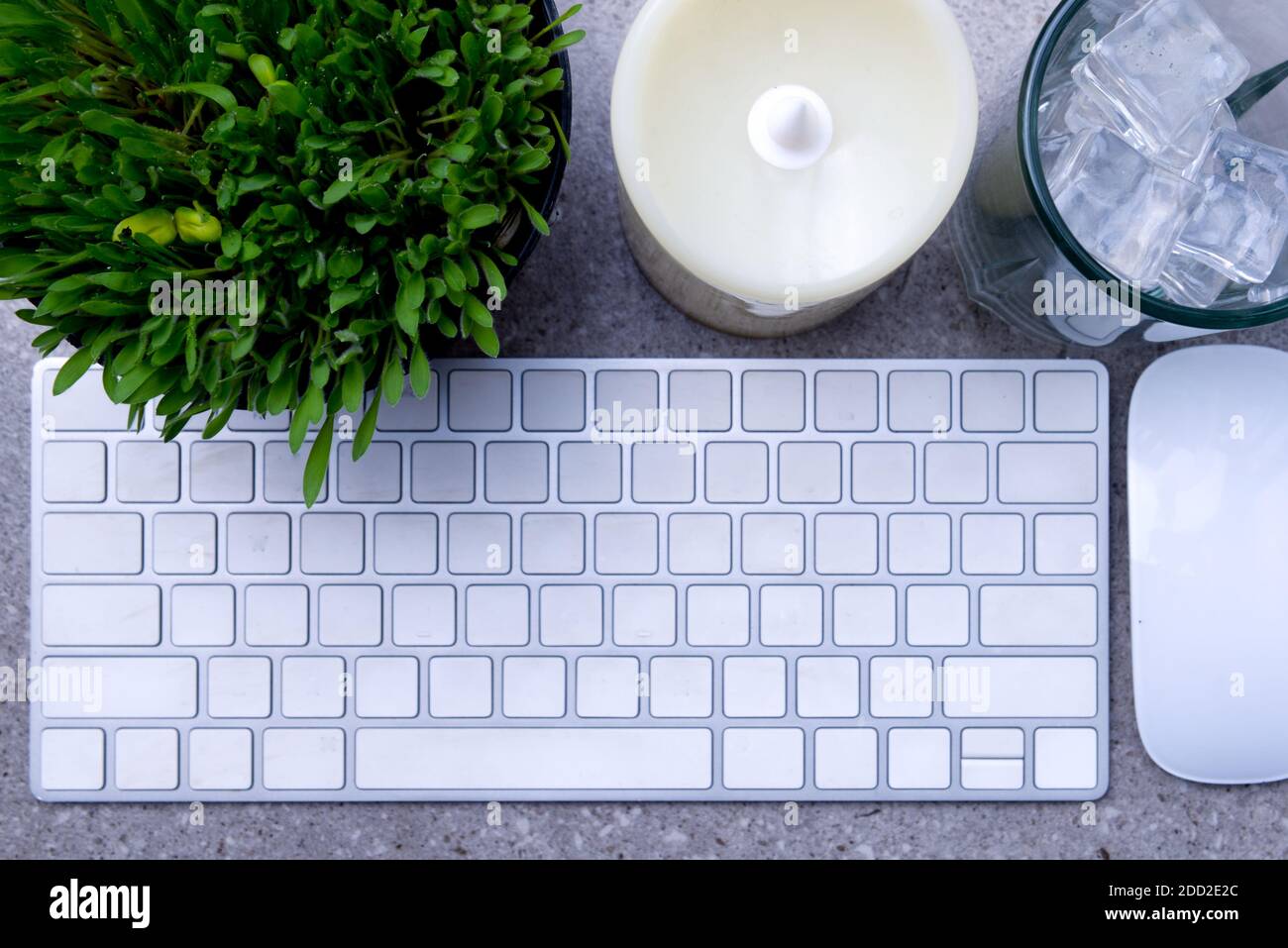 Close up view of millet grass plant in the pot with empty glass with ice cubes and the keyboard on the desk Stock Photo