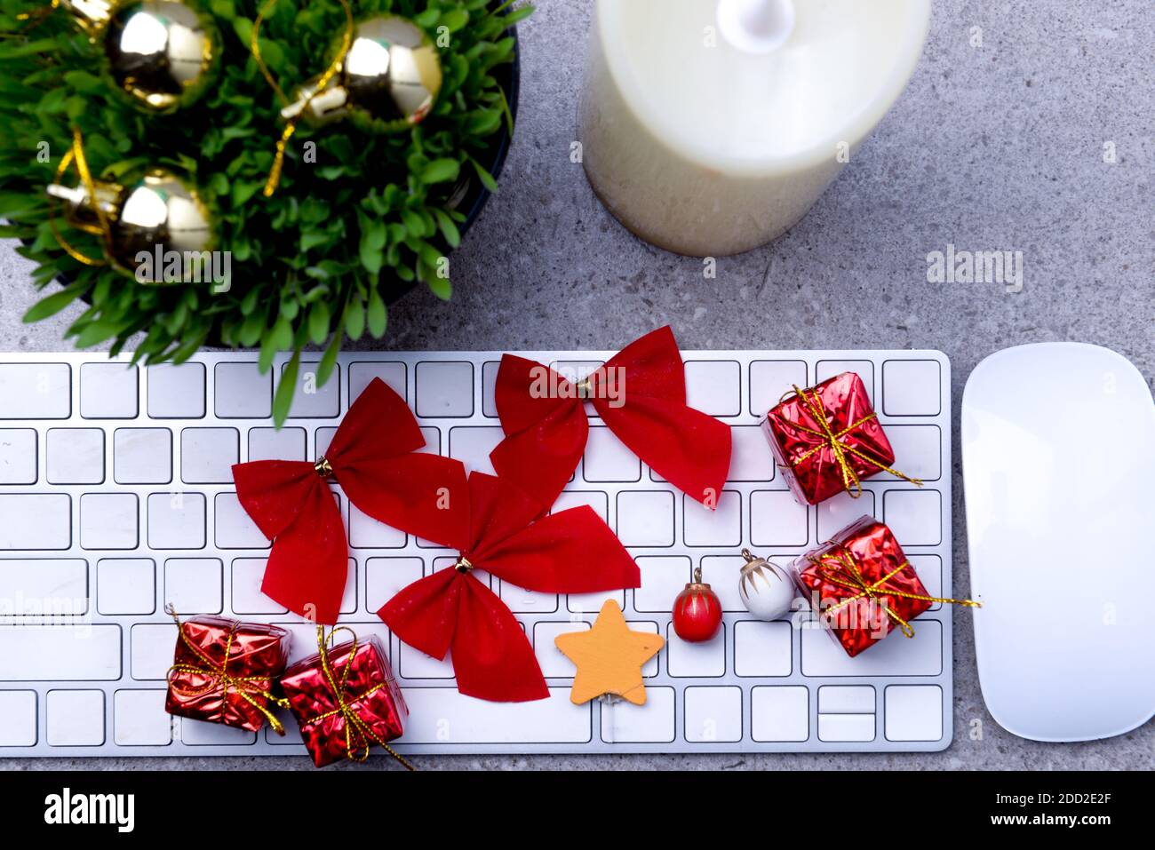 Close up view of millet grass plant in the pot with christmas decoration and the keyboard on the desk Stock Photo