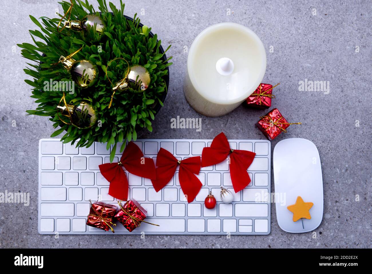 Close up view of millet grass plant in the pot with christmas decoration and the keyboard on the desk Stock Photo