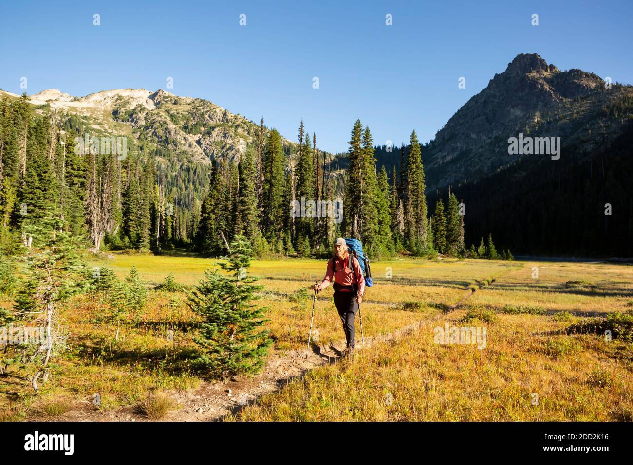WA18464-00...WASHINGTON - Cathedral Peak rising about the meadows at Deep Lake located adjacent to the Pacific Crest Trail in the Alpine Lakes Wildern Stock Photo