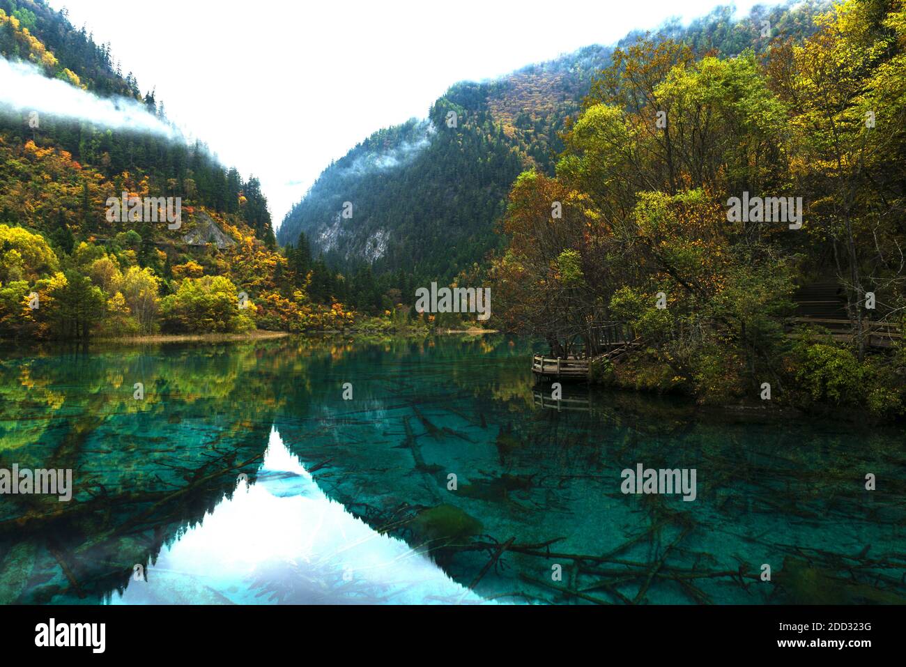 Jiuzhaigou in sichuan province Stock Photo