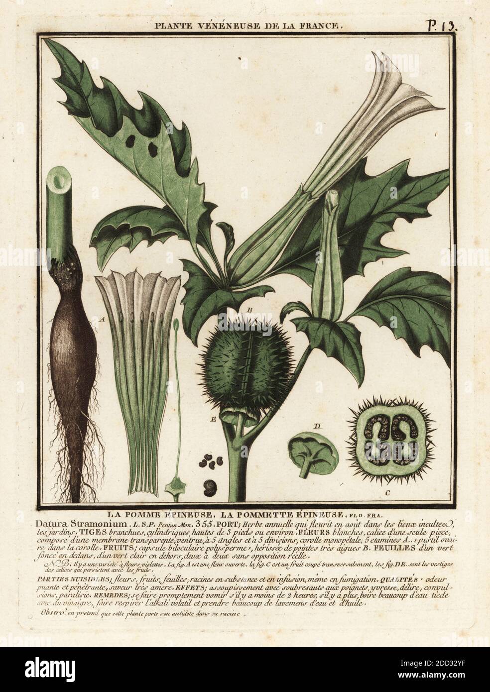 La Pomme High Resolution Stock Photography And Images Alamy