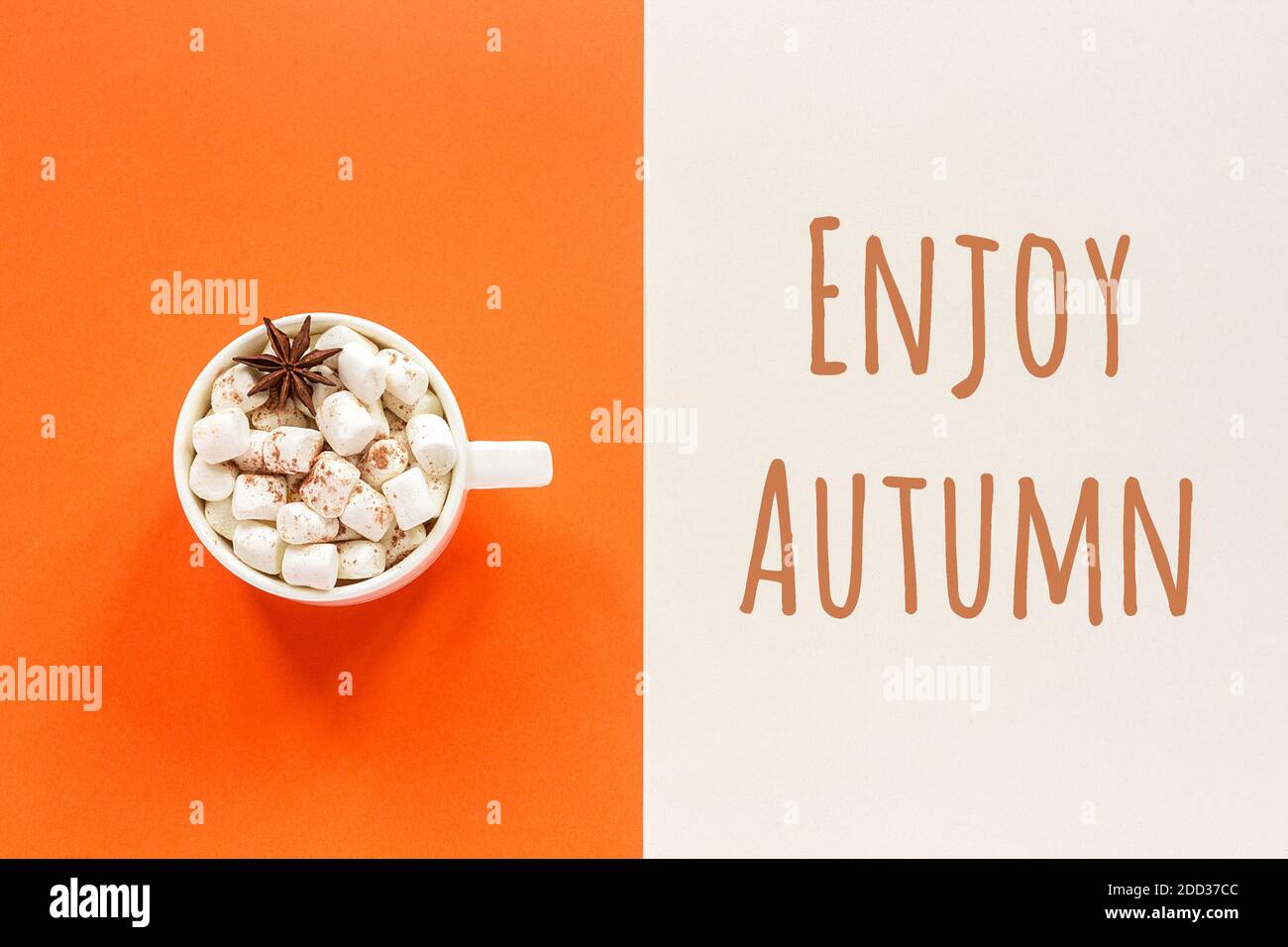 Enjoy Autumn text and cup of cocoa with marshmallows on orange beige background. Concept fall mood. Top view Flat lay Postcard. Stock Photo