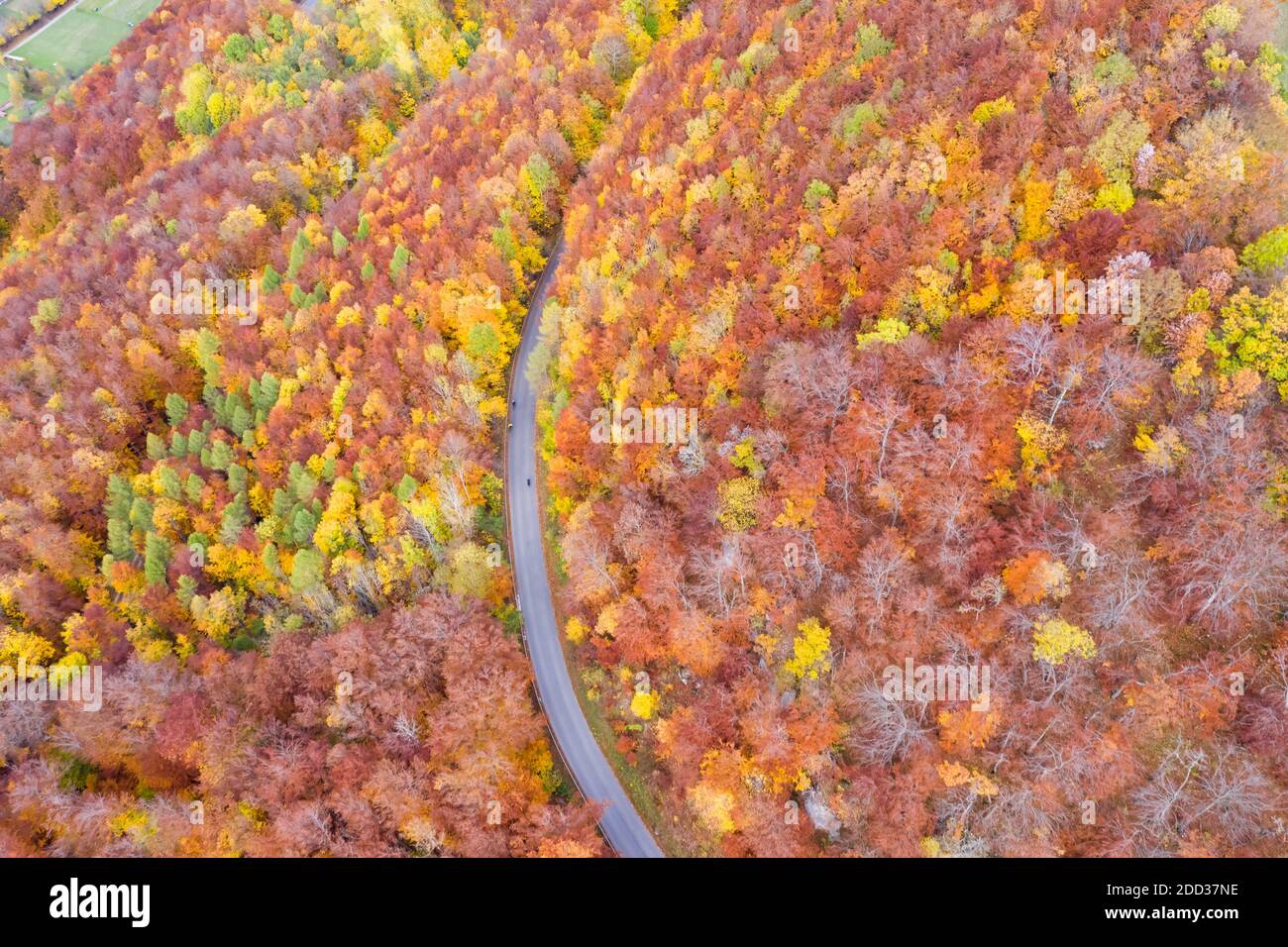 Aerial view colourful autumn forest hi-res stock photography and images ...
