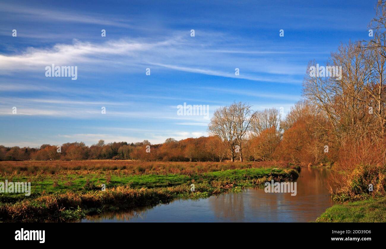 A view of the upper reaches of the River Yare meandering by Marston Marsh Local Nature Reserve on the south side of Norwich Norfolk, England, UK. Stock Photo