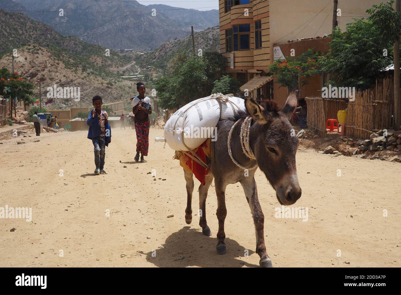 Tigray, Ethiopia - 14 August 2018. :Donkey and pedestrians in a small town in Tigray region of Ethiopia Stock Photo