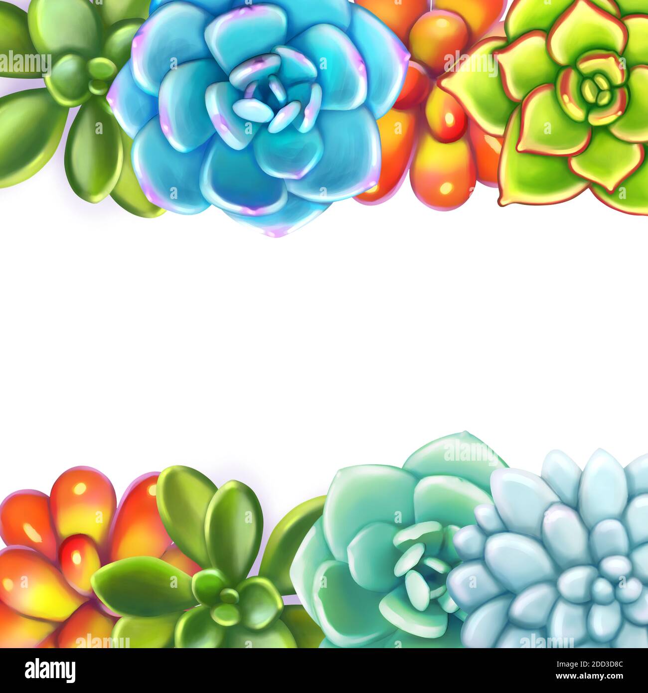 Floral Border. Succulents arranged un a shape of frame Stock Photo - Alamy, image size:1300x1390