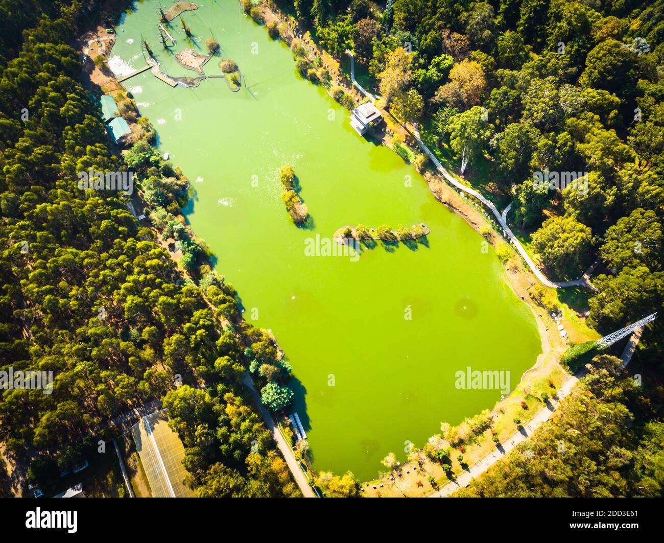 Aerial view down to green lake with green nature around in dendrological park. Stock