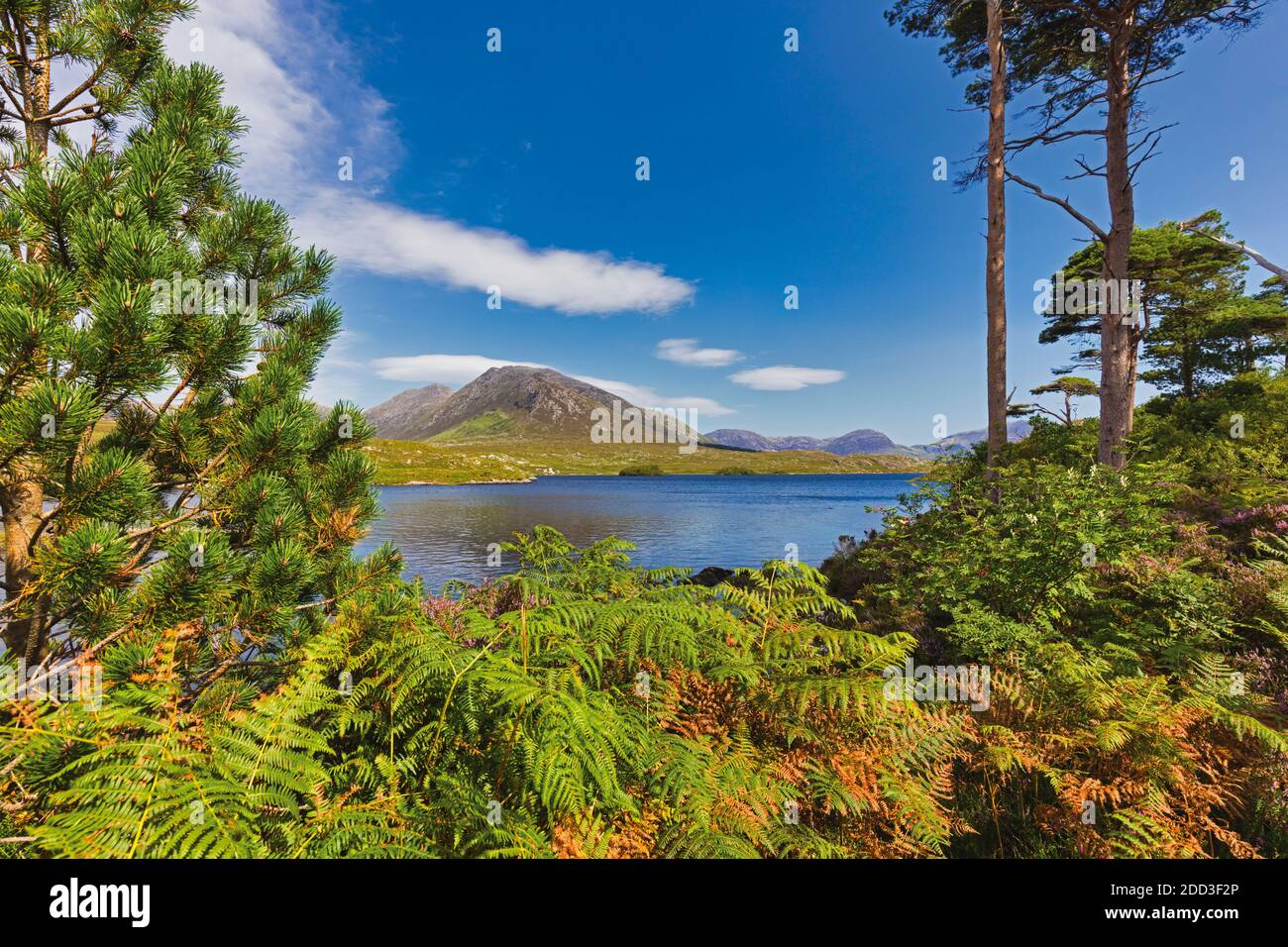 View across Derryclare Lough from Pine Island, Connemara, County Galway, Republic of Ireland. Eire. Stock Photo
