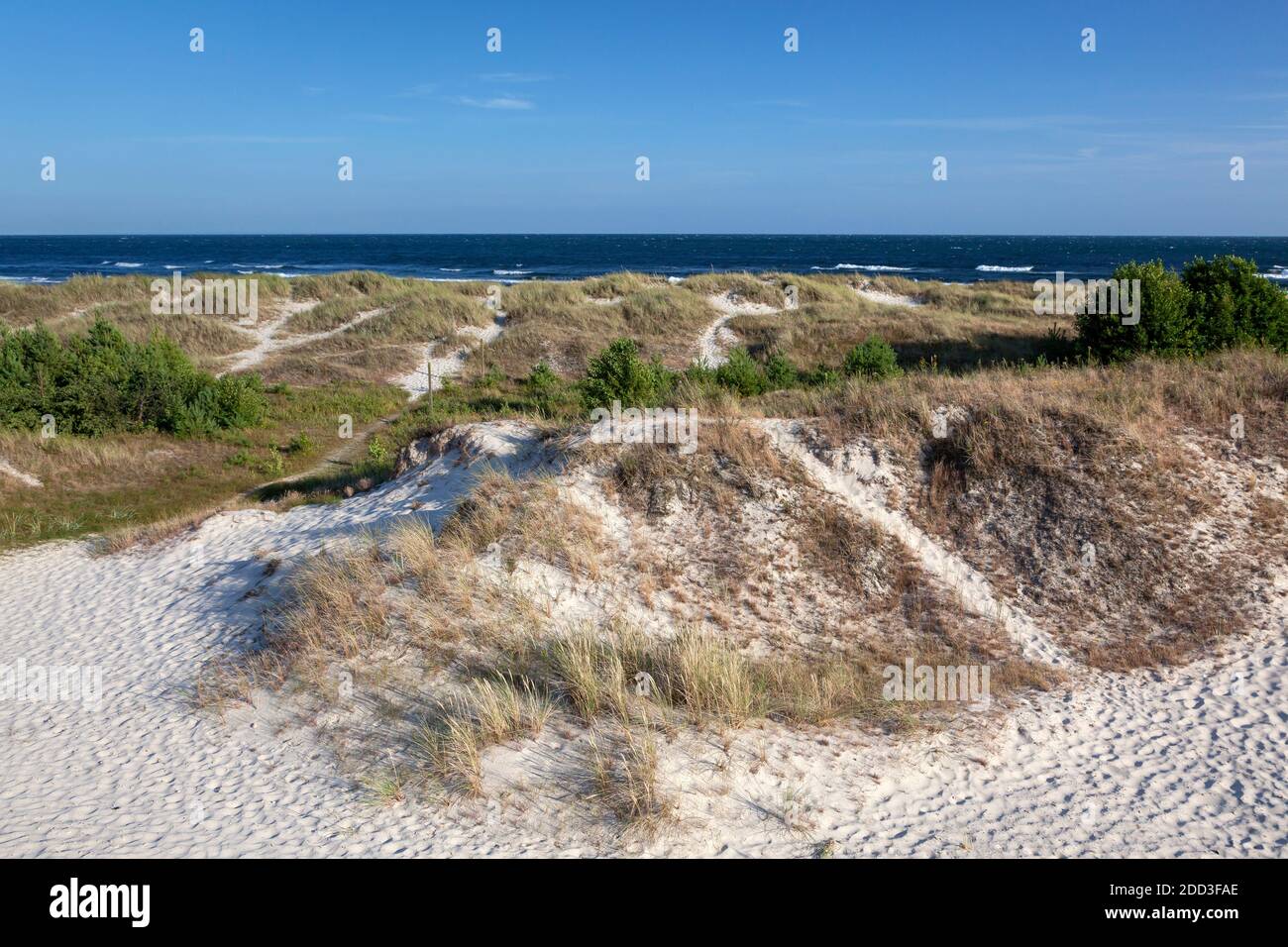 geography / travel, Sweden, Skane, Loederup, the dunes of Sandhammaren, Ystad, Skane, South Sweden, Additional-Rights-Clearance-Info-Not-Available Stock Photo