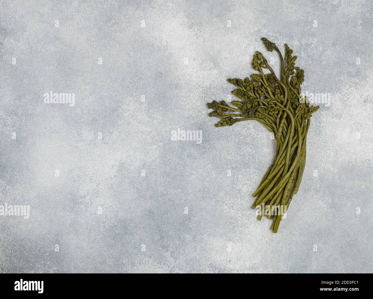 Salted shoots of the bracken fern on a concrete background. An