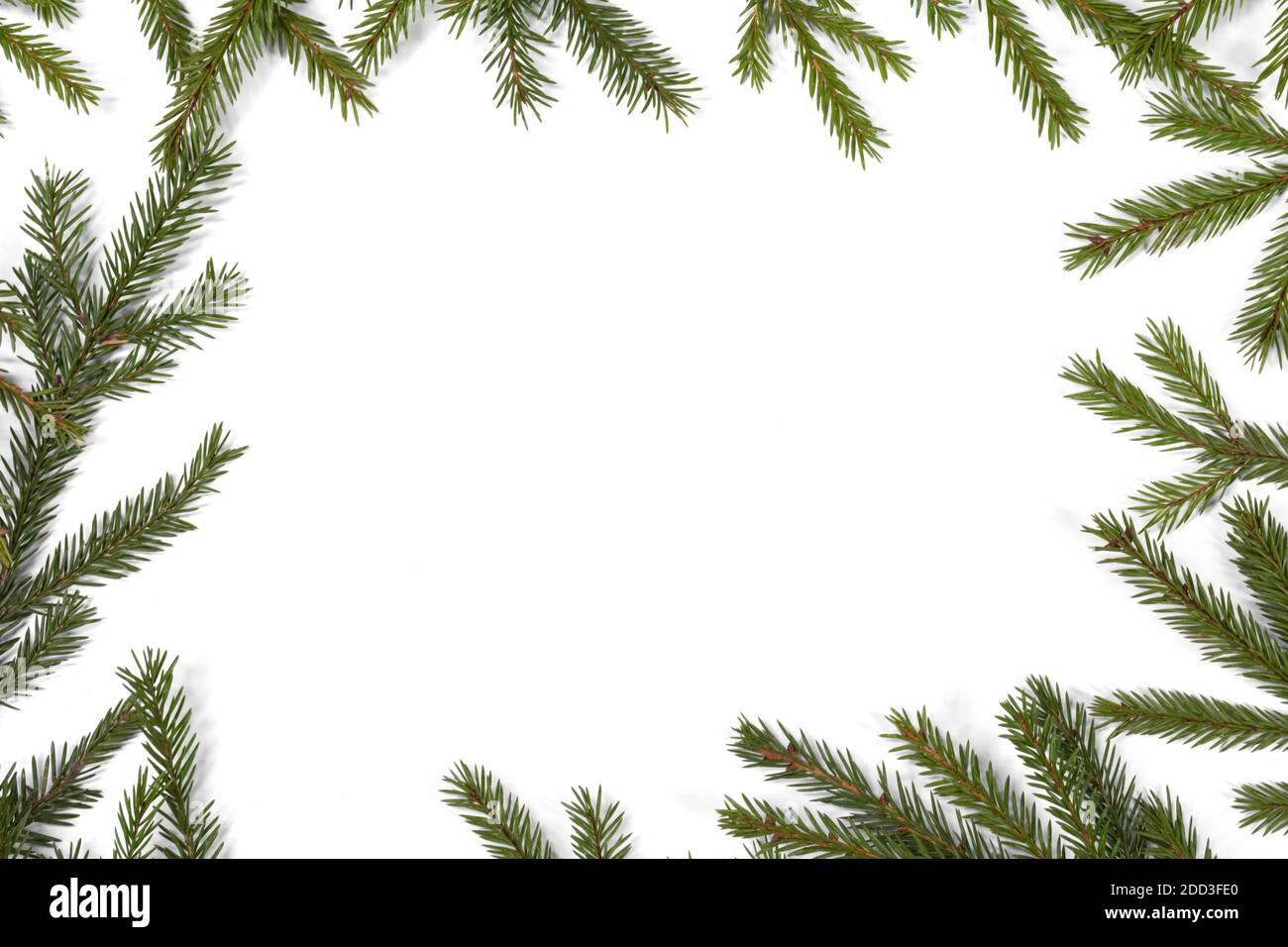 Natural fir Christmas tree border frame isolated on white , copy space ...