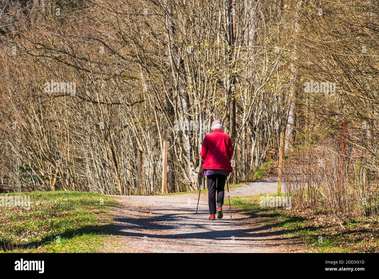 Woman walking in a park hi-res stock photography and images - Alamy