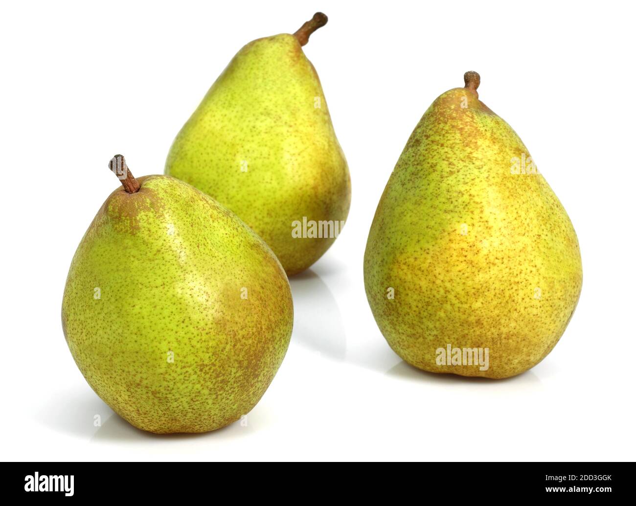 Comice Pear, pyrus communis, Fruit against White Background Stock Photo ...