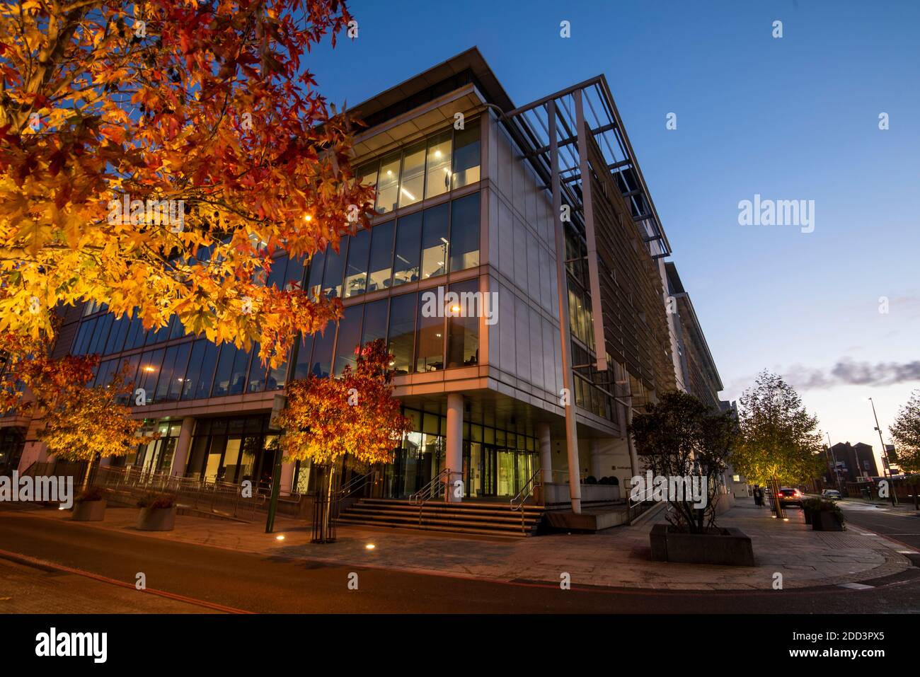 Autumn trees outside Loxley House on Station Street in Nottingham City