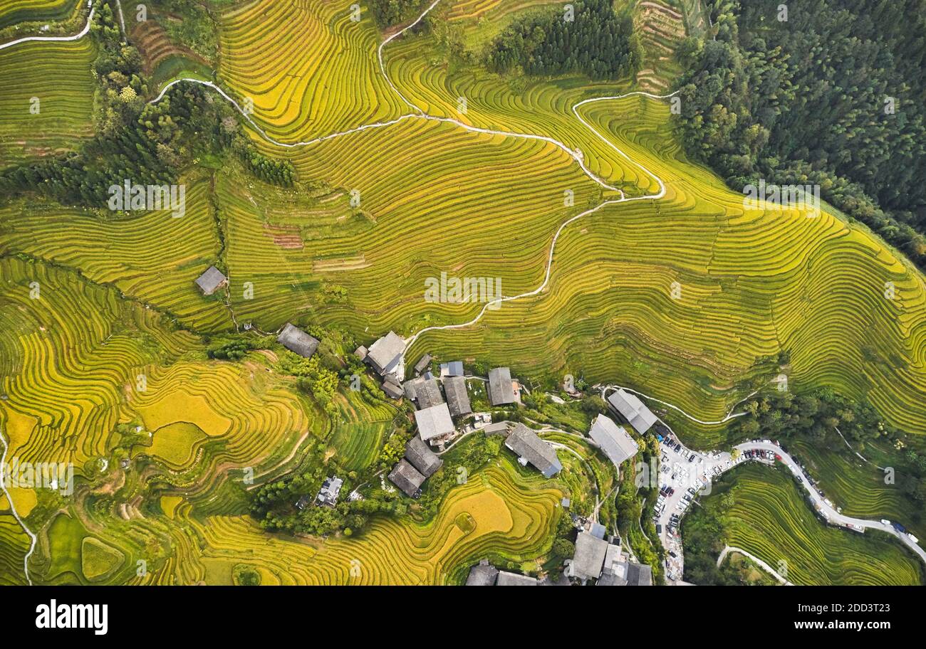 Dragon born dragon ridge terrace autumn scenery in guilin Stock Photo ...