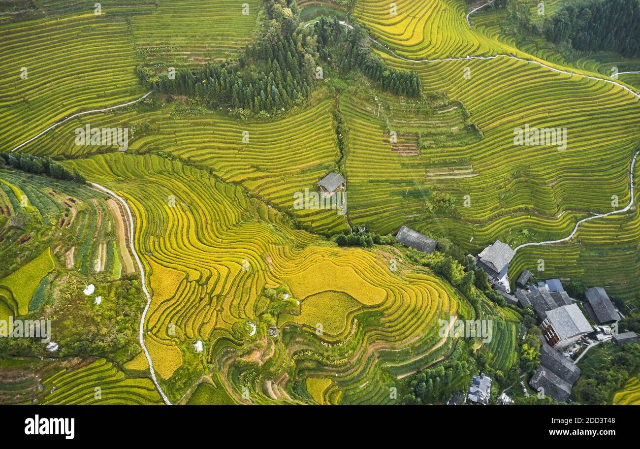 Gold reserves china hi-res stock photography and images - Alamy