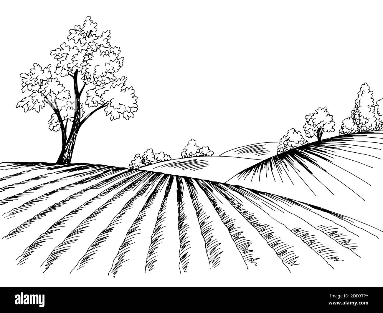 Field graphic black white landscape sketch illustration vector Stock