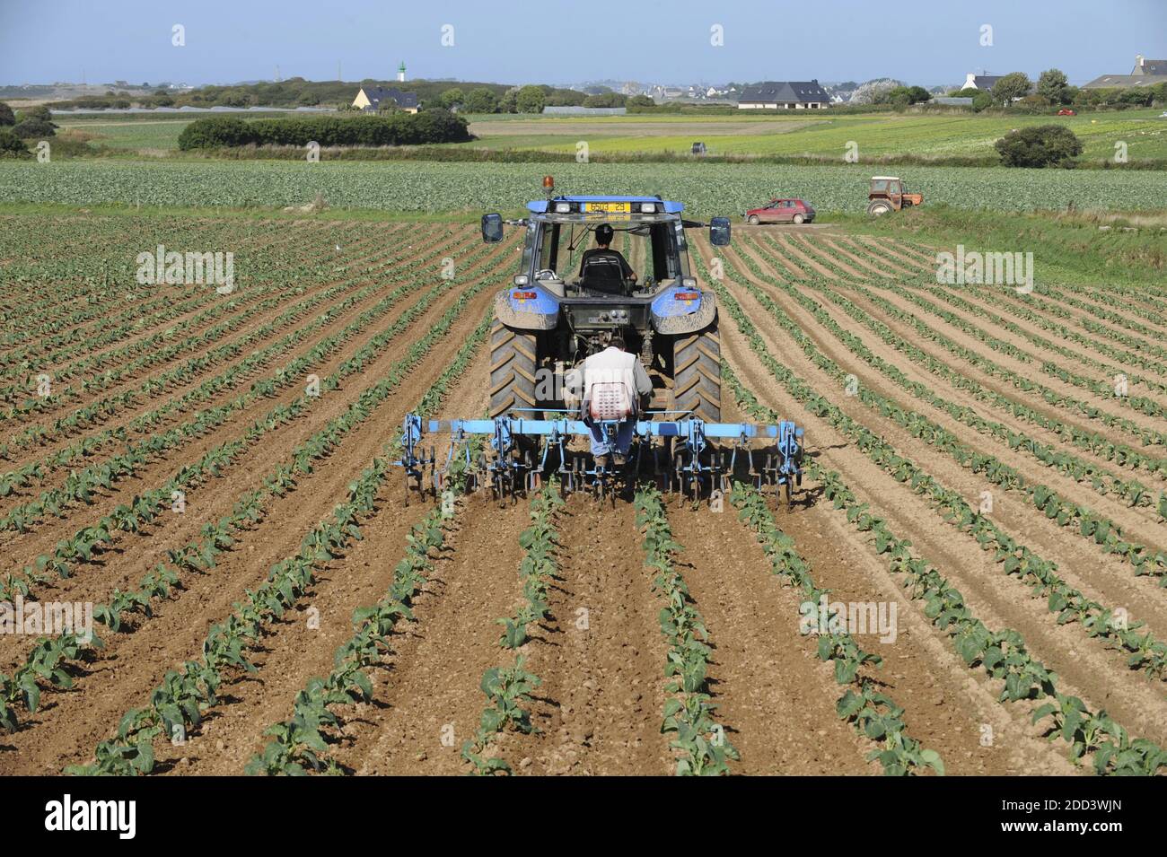 SaintPoldeLeon (Brittany, northwestern France) agricultural labour