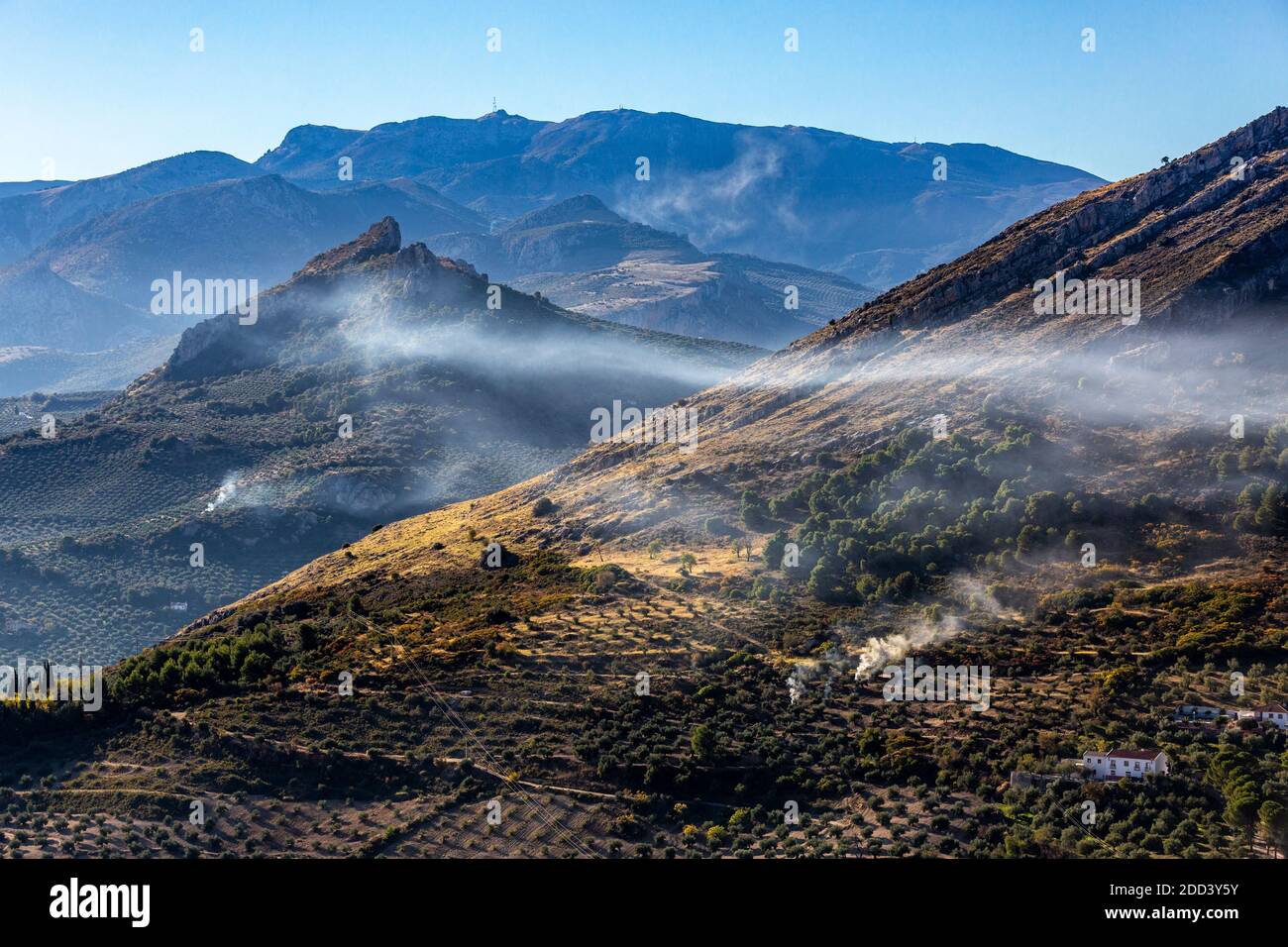 The rugged countryside of Jaén Province in Andalusia in southern Spain. The trees planted in regular formation are olive trees, of which Jaén province Stock Photo