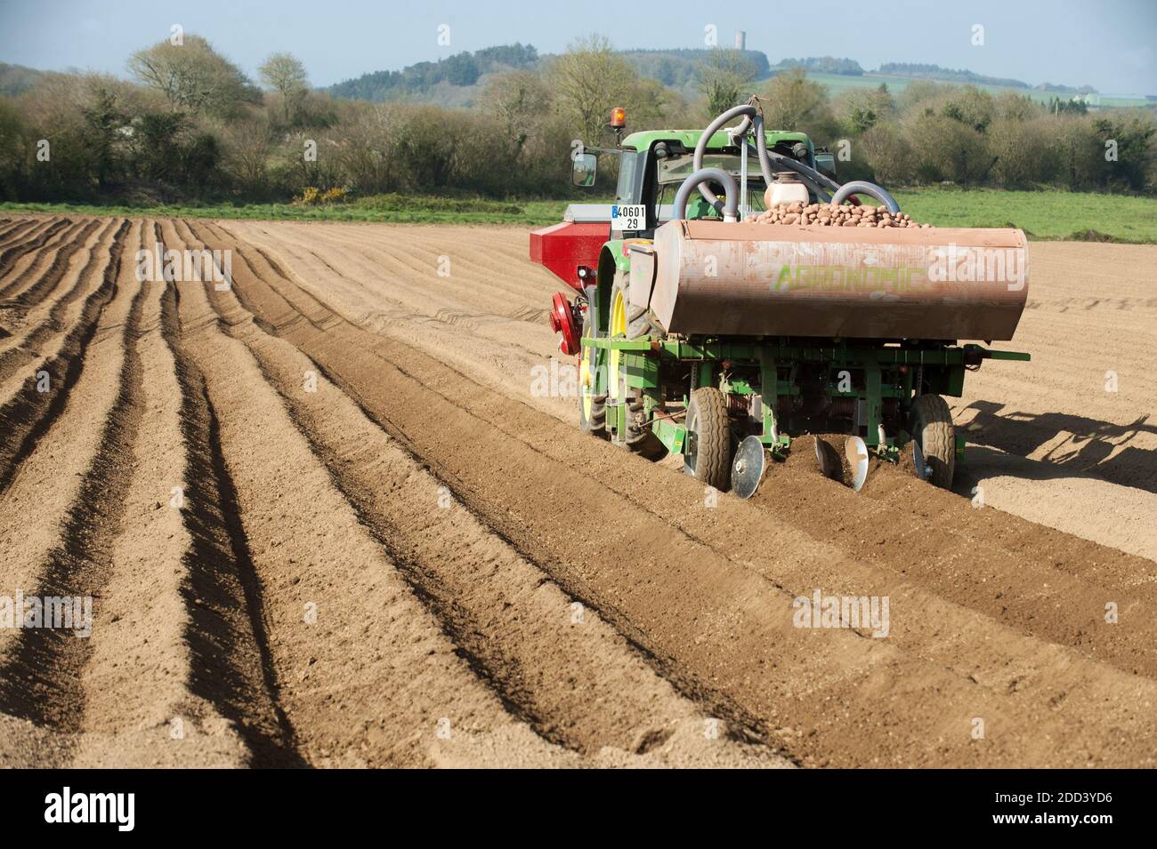 Irvillac (Brittany, north-western France): production of potato seeds. Tractor with muckspreader Stock Photo
