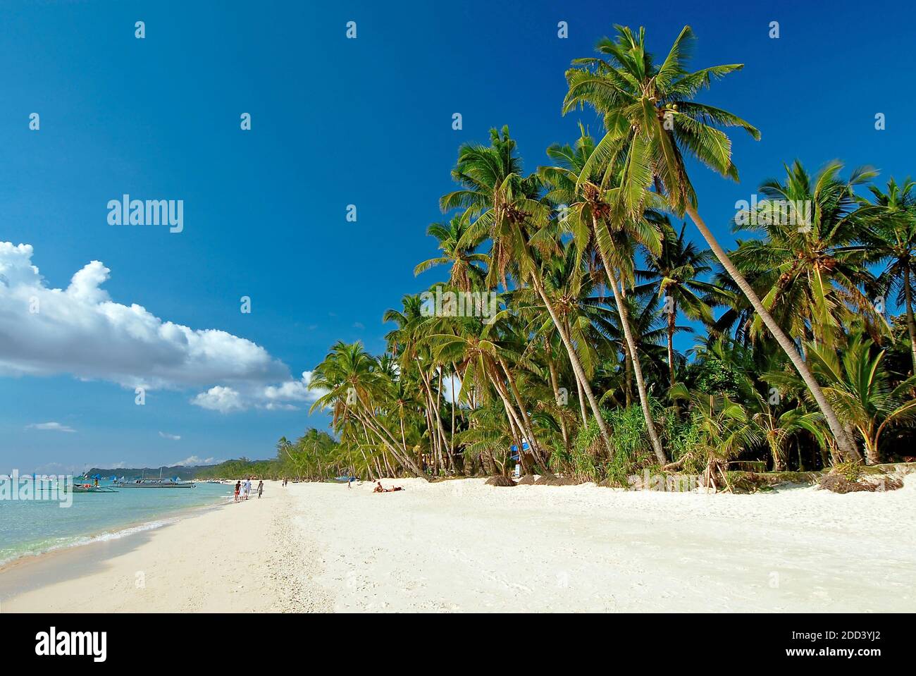 Scenic view of the beautiful empty sandy White Beach with coconut palm trees on Boracay Island, Aklan Province, Visayas, Philippines, Asia Stock Photo
