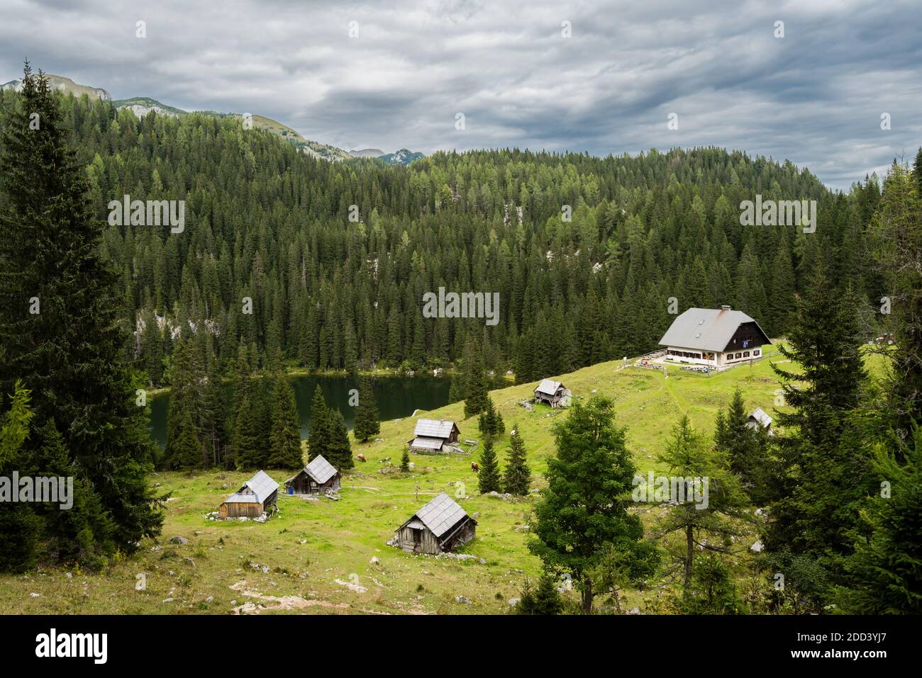 Log cabins and a mountain lake in the mountains of the Slovenian Alps on the peak Planina Blato on sunny day with clouds Stock Photo