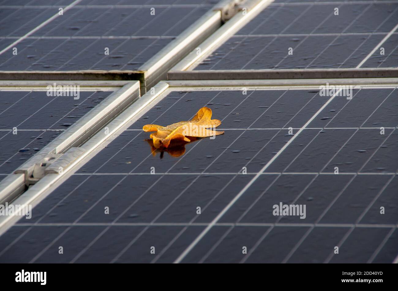 Monocristalline hi-res stock photography and images - Alamy