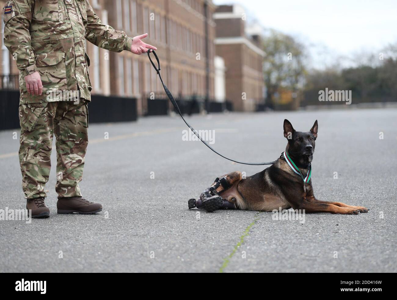 A military working dog handler with Kuno, a four-year-old Belgian Shepherd  Malinois and military working dog, at Woolwich Barracks in London, with his  PDSA Dickin Medal for valour, the highest award any