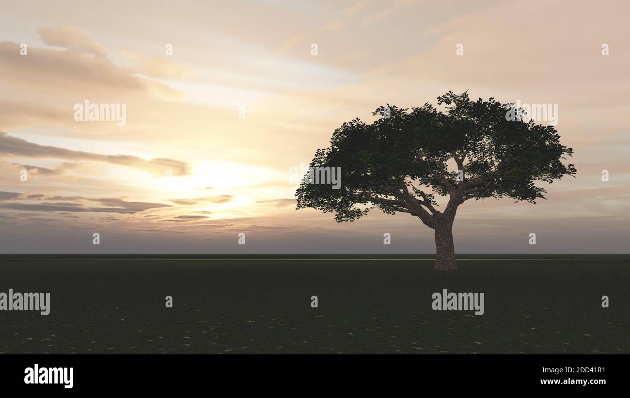 tree in the meadow sunset, 3d render illustration Stock Photo - Alamy