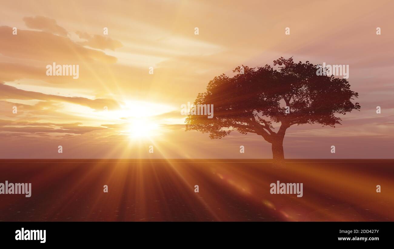 tree in the meadow sunset, 3d render illustration Stock Photo - Alamy