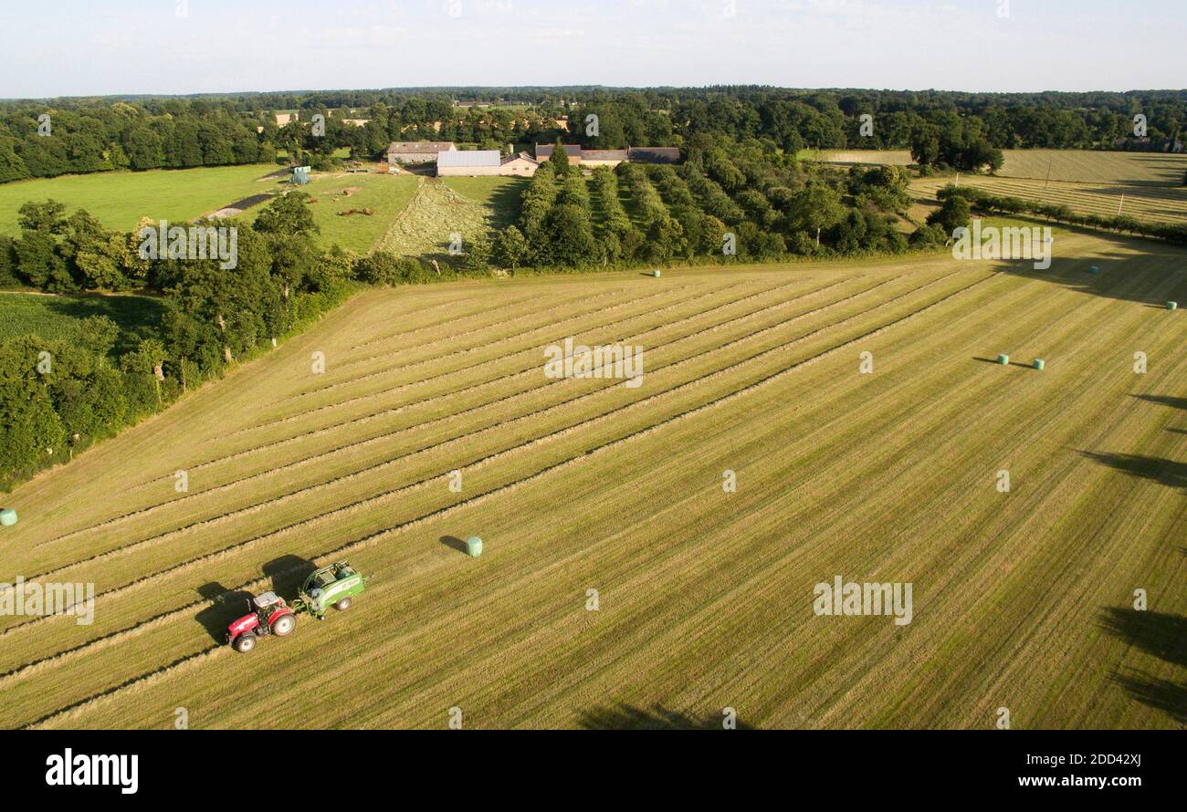 Types Of Hay And Their Uses Tractor Tools Direct