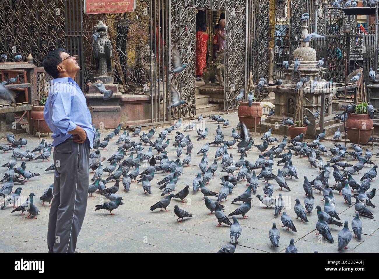 A man at Seto Machhendranath Temple in Kathmandu, Nepal, looks skywards in concern, maybe at the prospect of being 'bombarded' by one of the pigeons Stock Photo