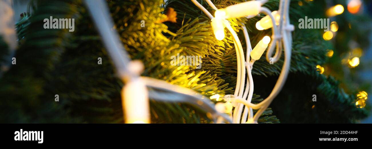 Christmas tree branches in the glowing lights of Golden color garlands ...