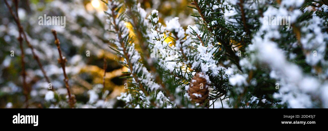 Christmas banner fir garlands hi-res stock photography and images - Alamy