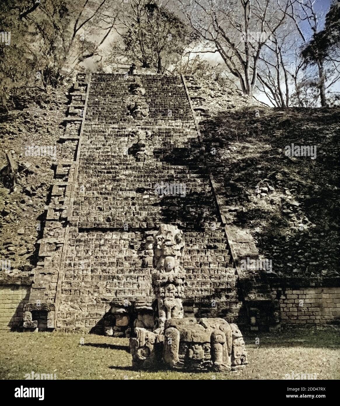 Die Hierogöyphentreppe aus der Mayazeit in Copan, Hodnuras 1970er Jahre