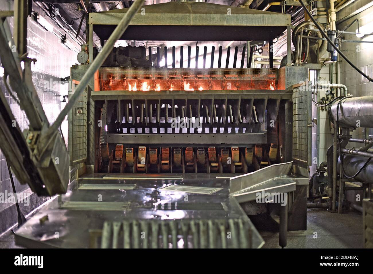 Equipment for the meat industry. Pig and cow meat processing plant