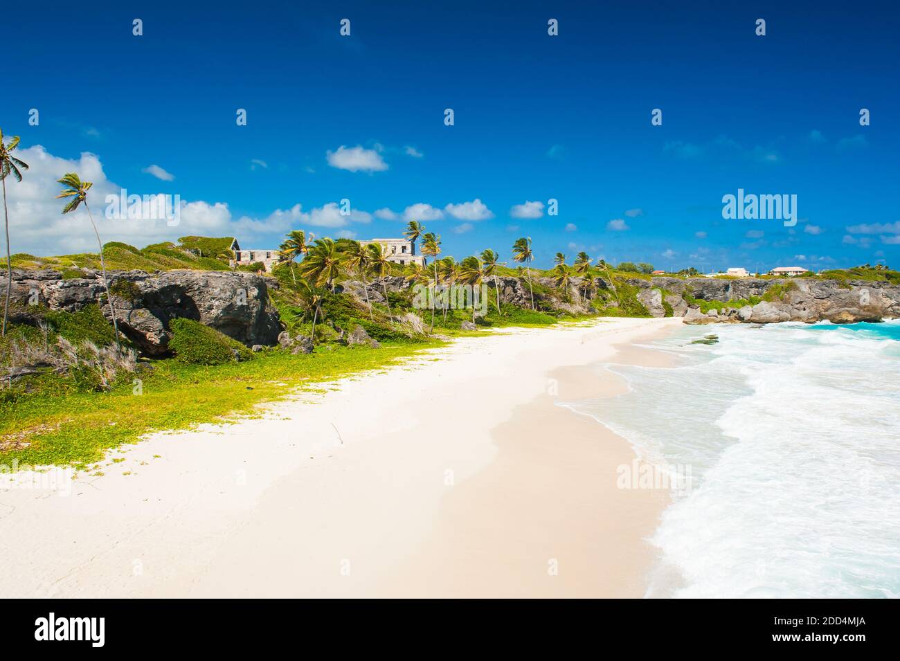 Harrismith Beach is one of the most beautiful beaches on the Caribbean island of Barbados. It is a tropical paradise with palms hanging over turquoise Stock Photo