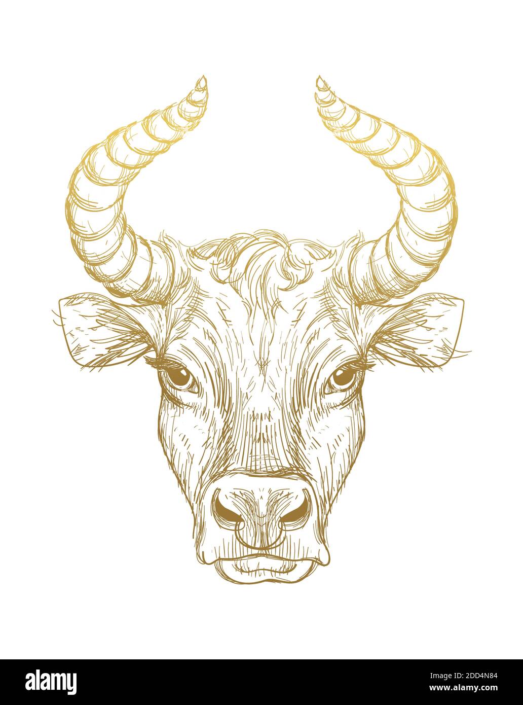 Happy New Year 2021 of the Ox, Ox-Taurus. Golden linear drawing on a white background, tarot, tattoo, chinese horoscope, astrology and zodiac signs. V Stock Vector