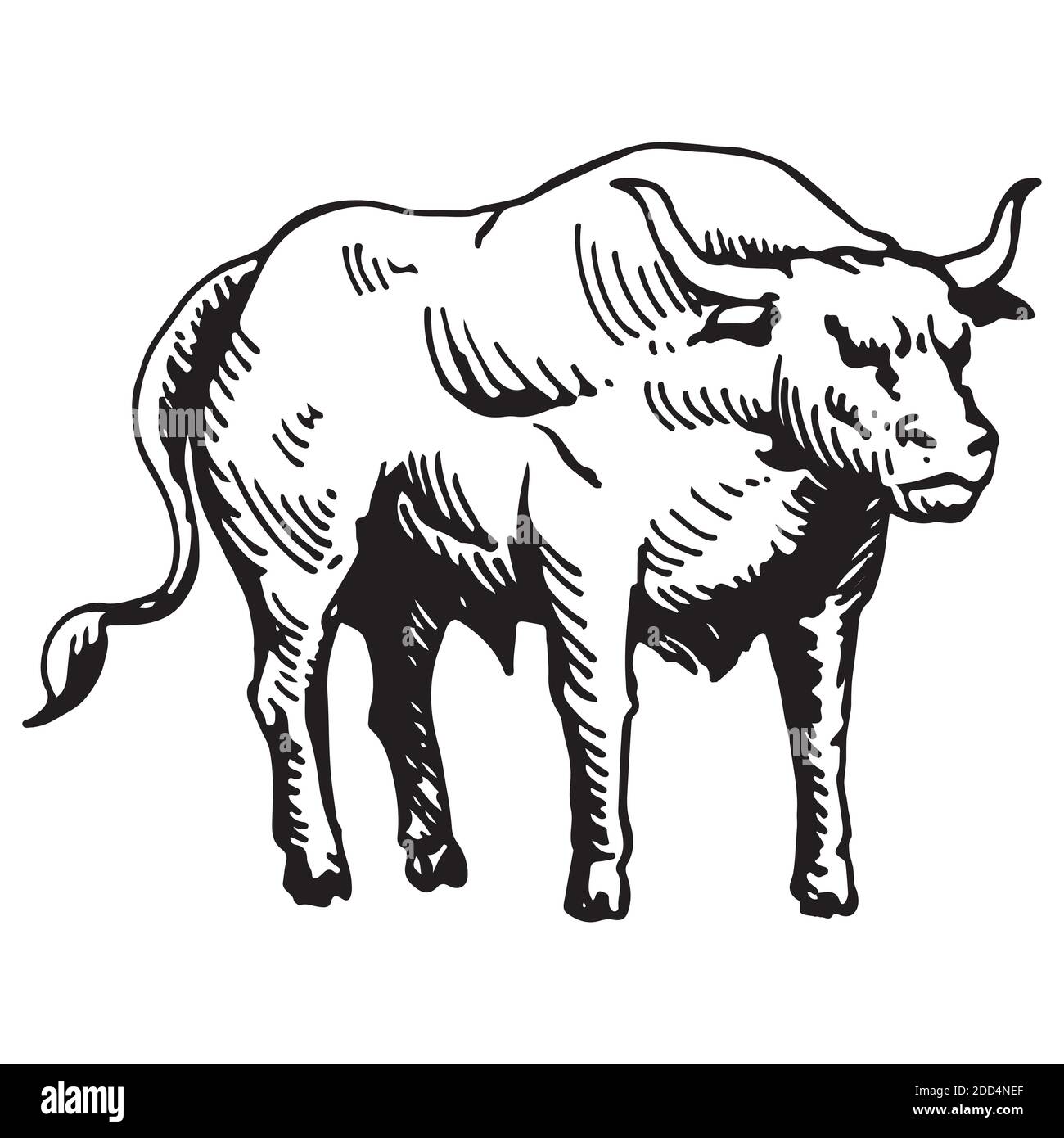 Vector illustration. Black and white sketch, isolated, on a white