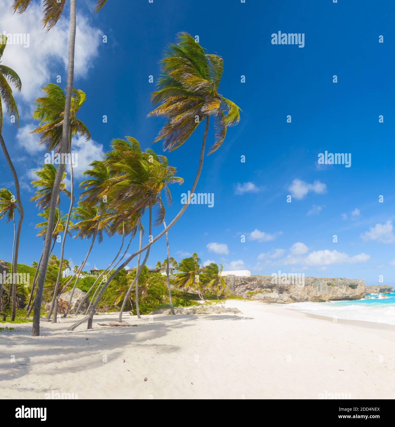 Bottom Bay is one of the most beautiful beaches on the Caribbean island of Barbados. It is a tropical paradise with palms hanging over turquoise sea Stock Photo