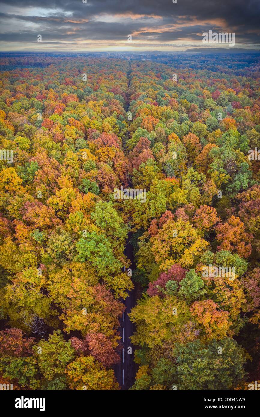 Aerial top down vertical panorama of road through the autumn forest Stock Photo