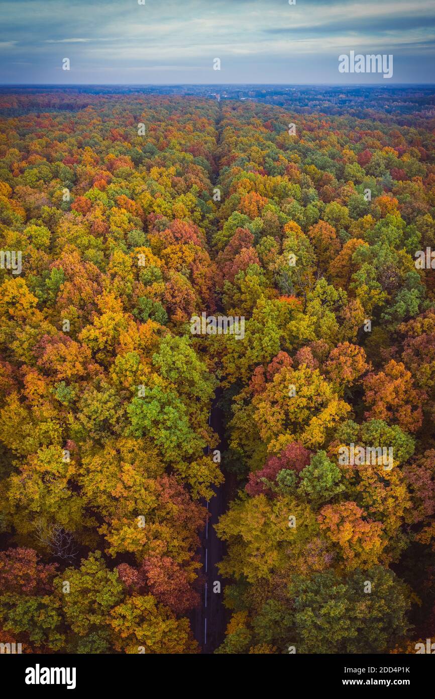 Aerial top down vertical panorama of road through the autumn forest Stock Photo