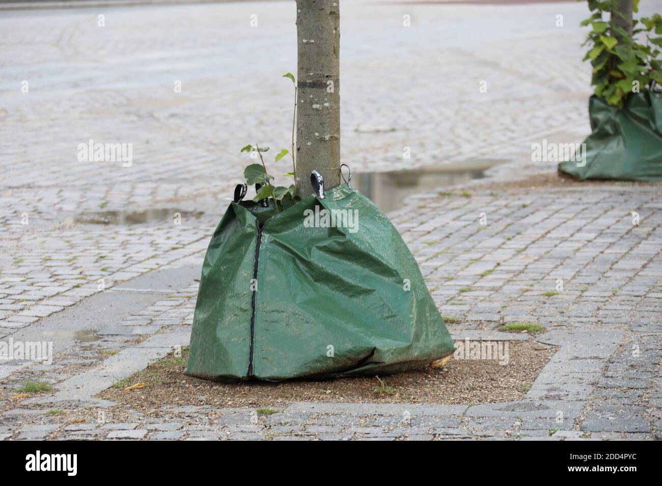 Watering bags hi-res stock photography and images - Alamy