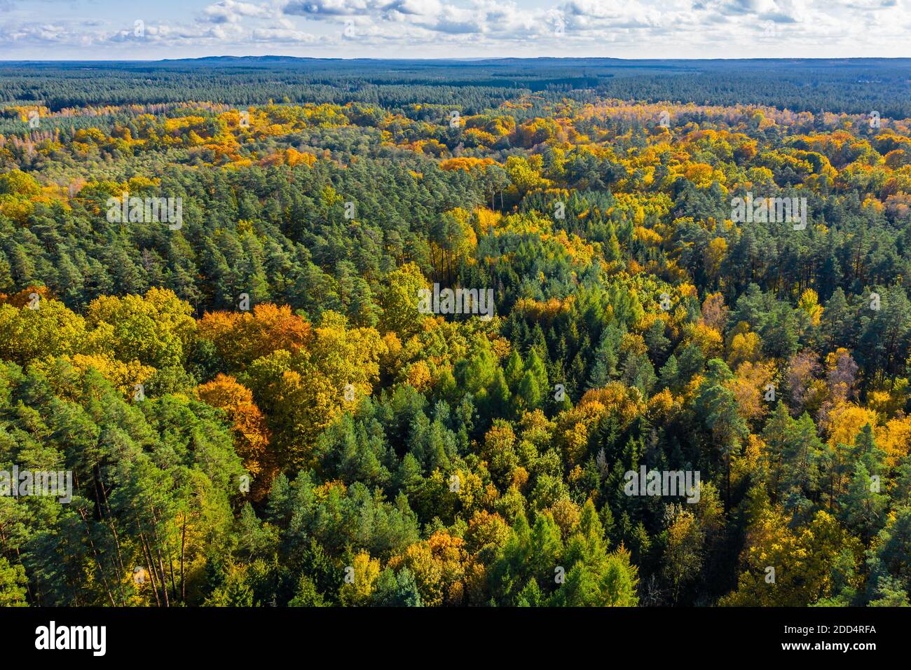 Aerial view of color autumn forest under cloudy sky Stock Photo - Alamy